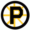 Providence Bruins 1992 93-1994 95 Primary Logo Print Decal