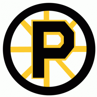 Providence Bruins 1992 93-1994 95 Primary Logo Iron On Transfer