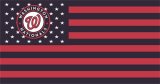 Washington Nationals Flag001 logo Print Decal