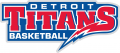 Detroit Titans 2008-2015 Wordmark Logo Print Decal