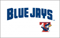 Toronto Blue Jays 2001-2002 Jersey Logo Iron On Transfer