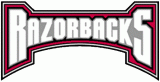 Arkansas Razorbacks 2001-2008 Wordmark Logo Iron On Transfer