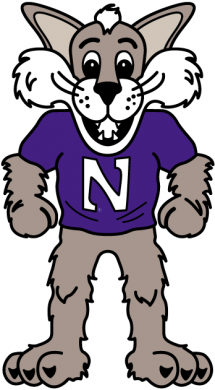 Northwestern Wildcats 1998-Pres Mascot Logo Iron On Transfer