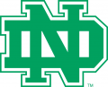 North Dakota Fighting Hawks 1974-2001 Alternate Logo Iron On Transfer