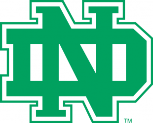 North Dakota Fighting Hawks 1974-2001 Alternate Logo Print Decal