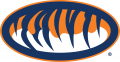 Auburn Tigers 1998-Pres Alternate Logo 02 Print Decal