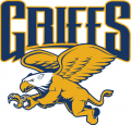 Canisius Golden Griffins 2006-Pres Alternate Logo 02 Print Decal