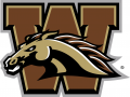 Western Michigan Broncos 2016-Pres Primary Logo Print Decal