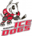 Niagara IceDogs 2007 08-Pres Primary Logo Print Decal