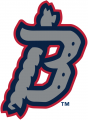 Binghamton Rumble 2017-Pres Alternate Logo 4 Iron On Transfer
