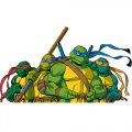 Ninja Turtle Logo 05 Iron On Transfer