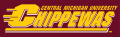 Central Michigan Chippewas 1997-Pres Wordmark Logo Print Decal