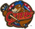 Erie Otters 2016 17-2018 19 Alternate Logo Iron On Transfer