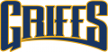 Canisius Golden Griffins 2006-Pres Wordmark Logo 02 Iron On Transfer