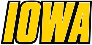 Iowa Hawkeyes 2002-Pres Wordmark Logo 04 Print Decal