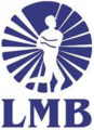 Liga Mexicana de Beisbol 2000-2008 Primary Logo Iron On Transfer