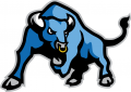 Buffalo Bulls 2007-2015 Secondary Logo 02 Print Decal
