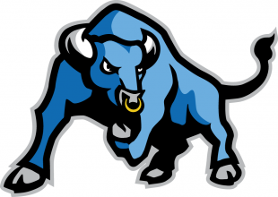 Buffalo Bulls 2007-2015 Secondary Logo 02 Iron On Transfer