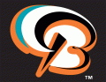Bowie BaySox 2002-Pres Cap Logo 2 Print Decal