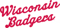 Wisconsin Badgers 1961-1969 Wordmark Logo Print Decal