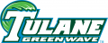 Tulane Green Wave 2014-Pres Wordmark Logo 03 Print Decal
