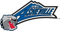 North CarolinaAsheville Bulldogs 2006-Pres Alternate Logo Print Decal