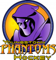 Youngstown Phantoms 2003 04-2011 12 Primary Logo Print Decal