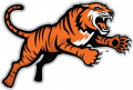 RIT Tigers 2004-Pres Alternate Logo 04 Print Decal