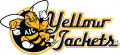 AIC Yellow Jackets 2009-Pres Alternate Logo 07 Print Decal