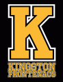Kingston Frontenacs 2012 13-Pres Alternate Logo Print Decal