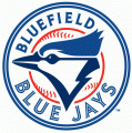 Bluefield Blue Jays 2012-Pres Primary Logo Iron On Transfer