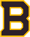 Boston Bruins 2018 19 Special Event Logo Print Decal