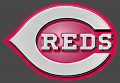 Cincinnati Reds Plastic Effect Logo Print Decal