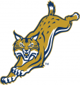 Quinnipiac Bobcats 2002-2018 Alternate Logo 06 Iron On Transfer