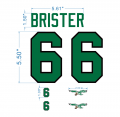 Philadelphia Eagles custom BRISTER and 6 for white jersey kits material vinyl