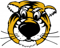 Missouri Tigers 1986-Pres Mascot Logo 03 Iron On Transfer