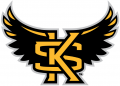 Kennesaw State Owls 2012-Pres Alternate Logo 04 Iron On Transfer