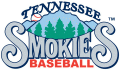 Tennessee Smokies 2000-2014 Primary Logo Print Decal