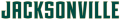Jacksonville Dolphins 2018-Pres Wordmark Logo 02 Iron On Transfer