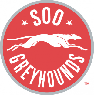 Sault Ste. Marie Greyhounds 2009 10-2012 13 Primary Logo Print Decal