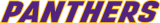 Northern Iowa Panthers 2015-Pres Wordmark Logo 02 Iron On Transfer