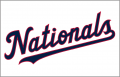 Washington Nationals 2020-Pres Jersey Logo Iron On Transfer