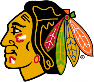 Chicago Blackhawks 1989 90-1995 96 Primary Logo Iron On Transfer