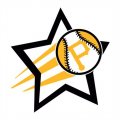 Pittsburgh Pirates Baseball Goal Star logo Iron On Transfer
