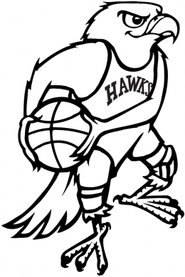 Atlanta Hawks 1968-69 Primary Logo Iron On Transfer