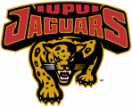 IUPUI Jaguars 1998-2007 Primary Logo Print Decal