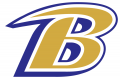 Baltimore Ravens 1999-Pres Alternate Logo Print Decal