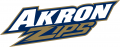 Akron Zips 2002-Pres Wordmark Logo Print Decal