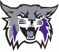 Weber State Wildcats 2012-Pres Primary Logo Iron On Transfer
