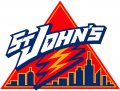 St.Johns RedStorm 2002-2003 Primary Logo Print Decal
